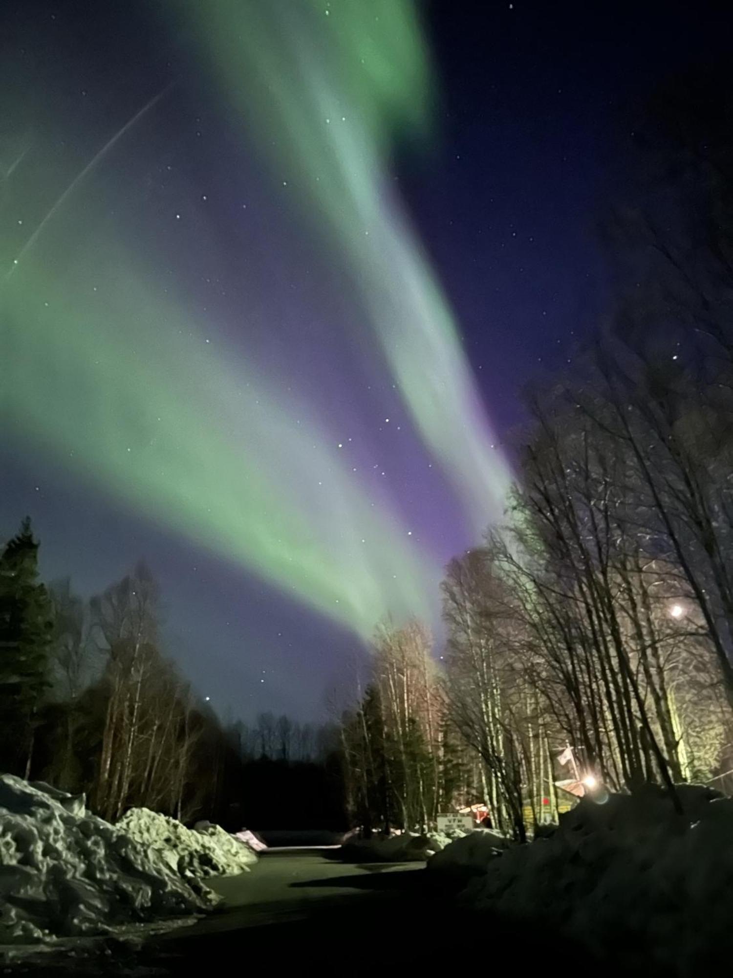 Talkeetna Villas And Tours Exteriér fotografie